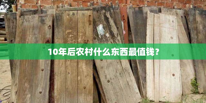 10年后农村什么东西最值钱？