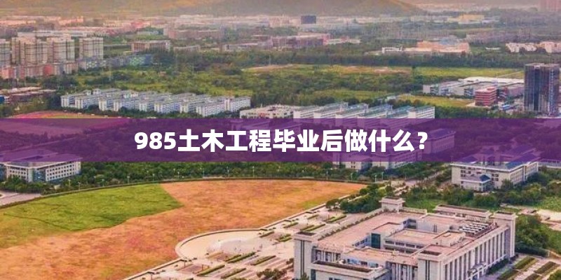 985土木工程毕业后做什么？