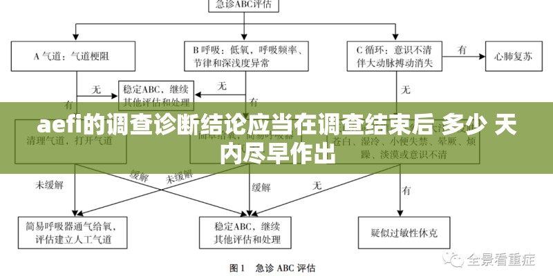 aefi的调查诊断结论应当在调查结束后 多少 天内尽早作出