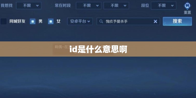 id是什么意思啊