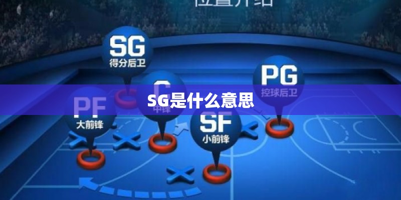 SG是什么意思