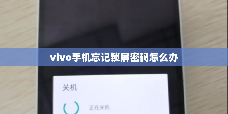 vivo手机忘记锁屏密码怎么办