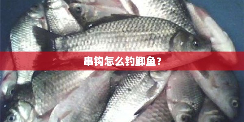 串钩怎么钓鲫鱼？