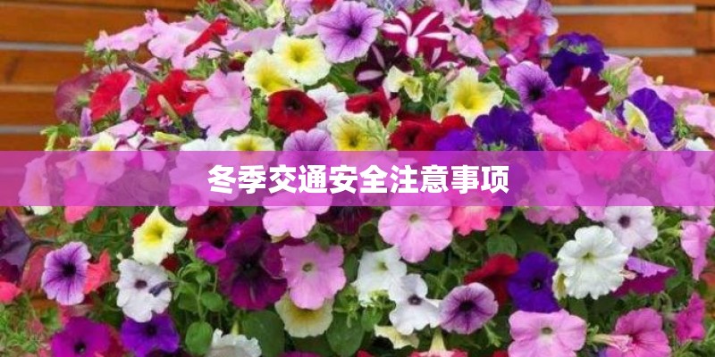冬季交通安全注意事项