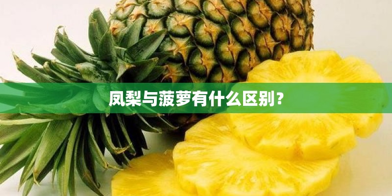 凤梨与菠萝有什么区别？