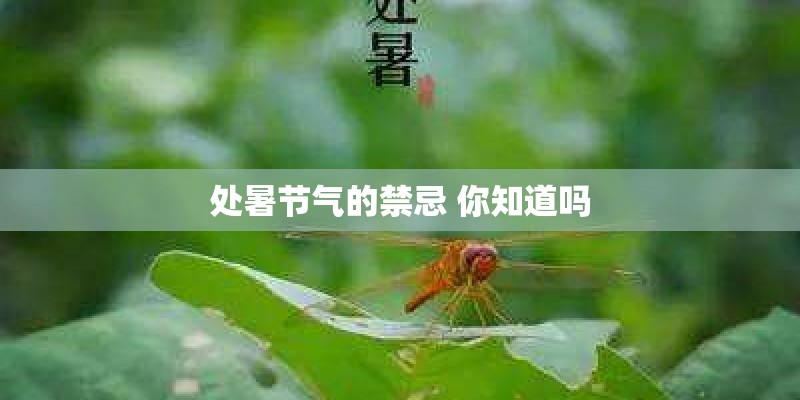 处暑节气的禁忌 你知道吗