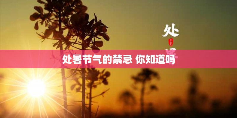 处暑节气的禁忌 你知道吗