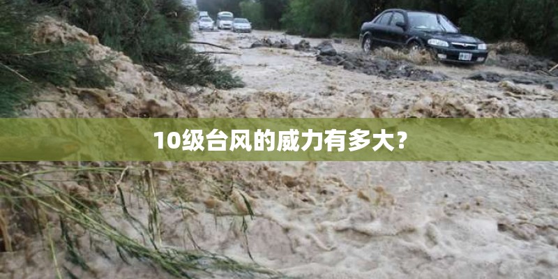10级台风的威力有多大？