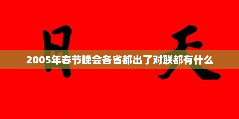 2005年春节晚会各省都出了对联都有什么