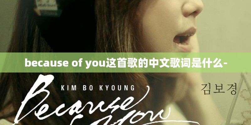 because of you这首歌的中文歌词是什么-