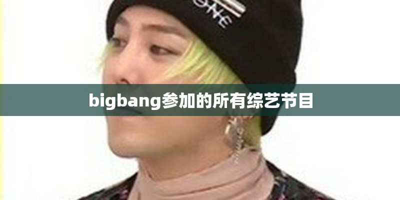 bigbang参加的所有综艺节目