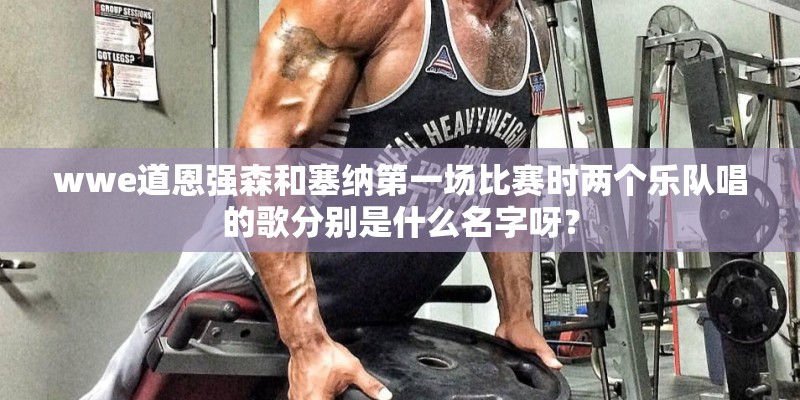 wwe道恩强森和塞纳第一场比赛时两个乐队唱的歌分别是什么名字呀？