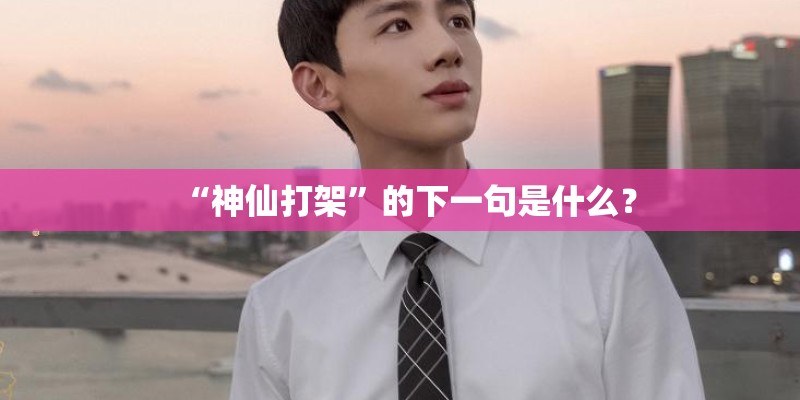 “神仙打架”的下一句是什么？