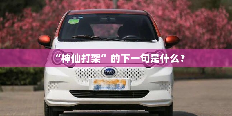 “神仙打架”的下一句是什么？