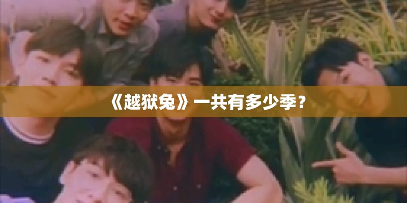 《越狱兔》一共有多少季？