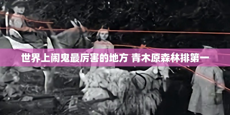 世界上闹鬼最厉害的地方 青木原森林排第一