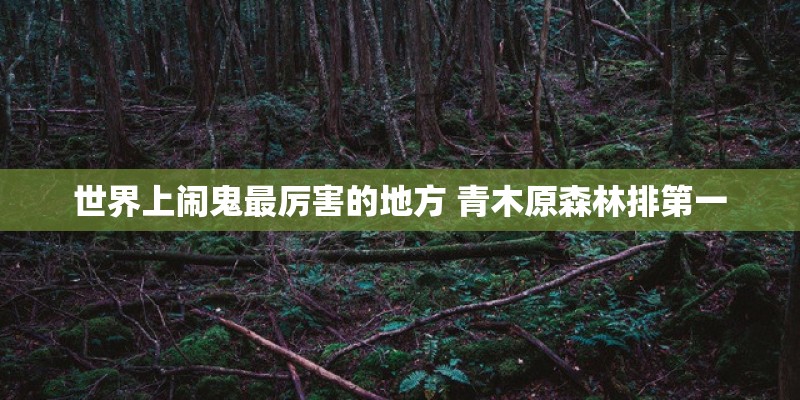 世界上闹鬼最厉害的地方 青木原森林排第一