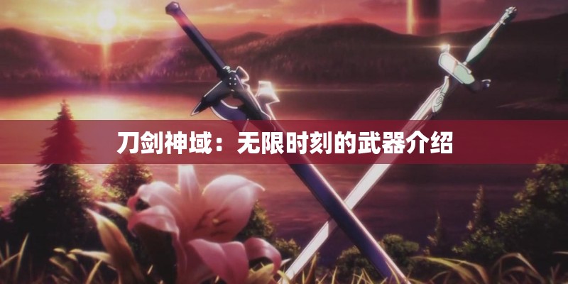 刀剑神域:无限时刻的武器介绍 刀剑神域:无限时刻的武器介绍