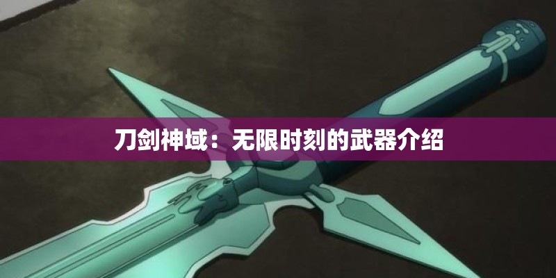 刀剑神域:无限时刻的武器介绍 刀剑神域:无限时刻的武器介绍