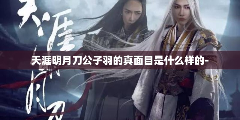 天涯明月刀公子羽的真面目是什么样的-