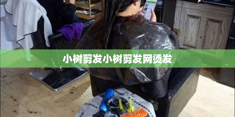小树剪发小树剪发网烫发