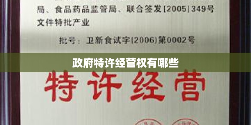 政府特许经营权有哪些 政府特许经营权有哪些