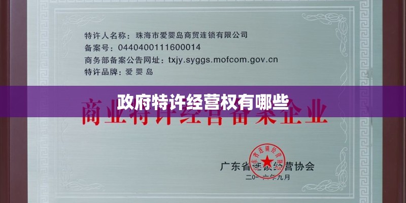政府特许经营权有哪些 政府特许经营权有哪些