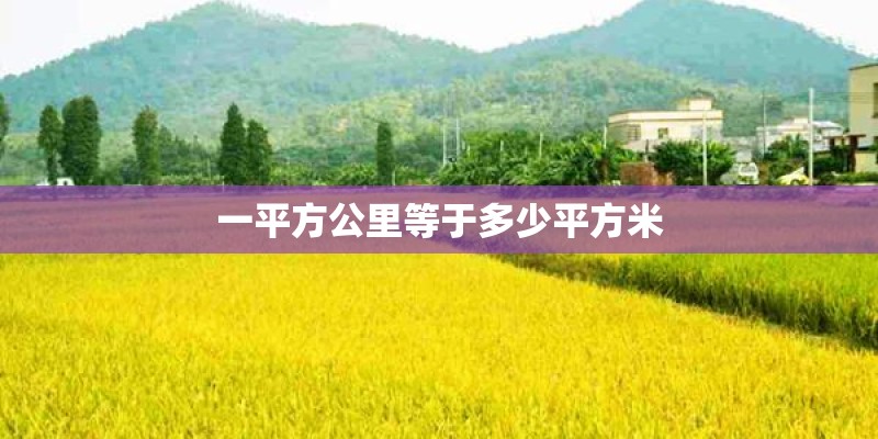 一平方公里等于多少平方米