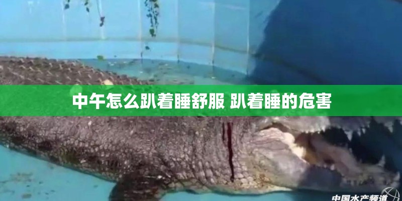中午怎么趴着睡舒服 趴着睡的危害