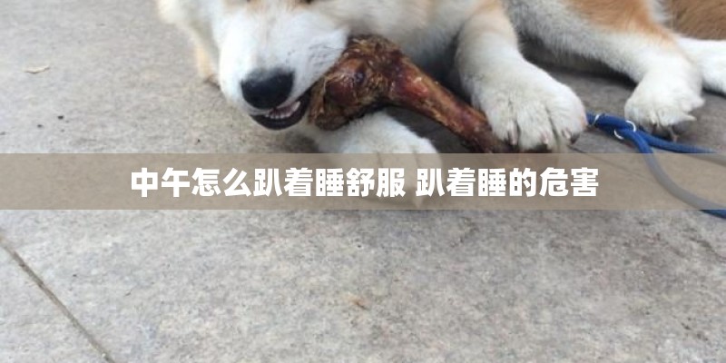 中午怎么趴着睡舒服 趴着睡的危害